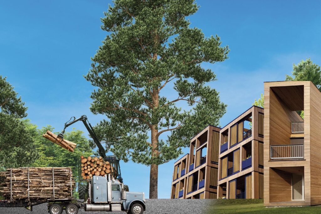 Lees meer over het artikel Finch Buildings is partner van Houtbouw XL